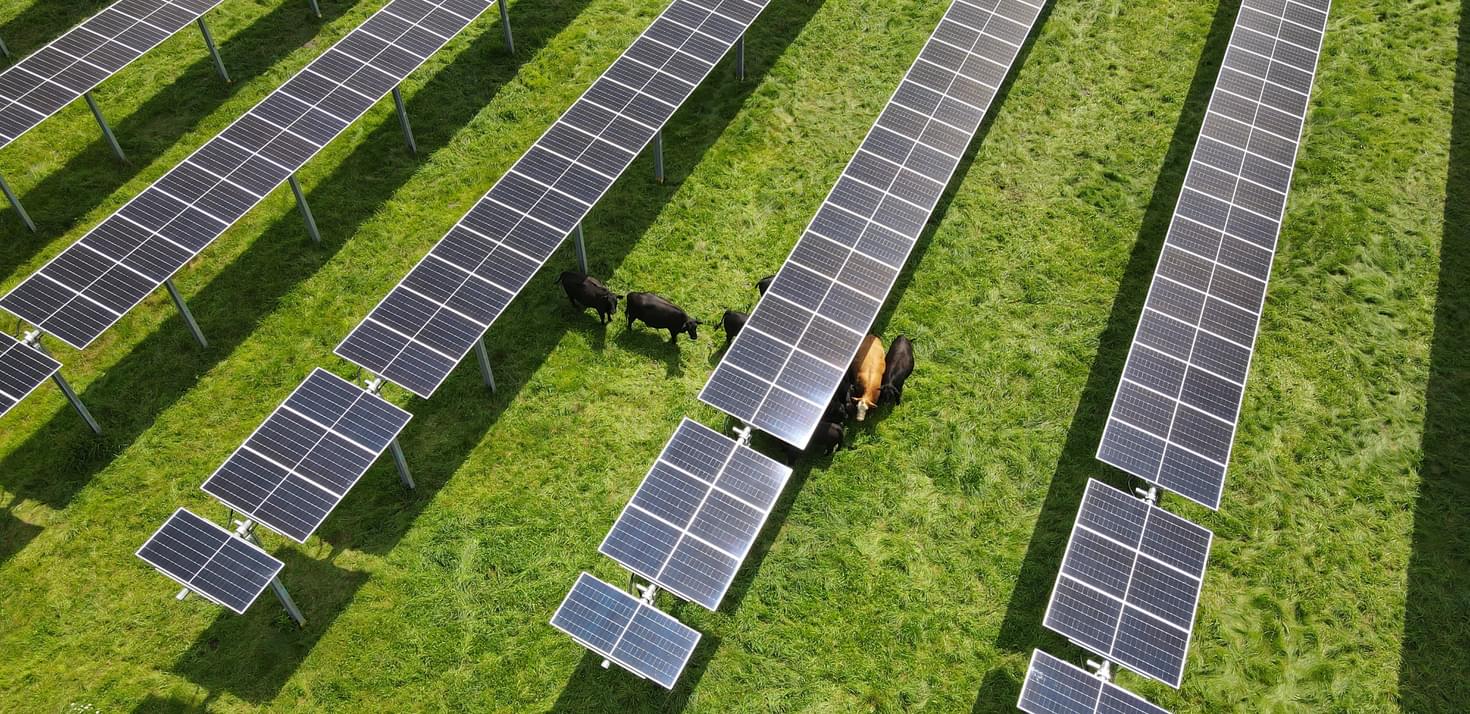 Dji fly 20240822 131806 157 1724347096197 photo 1 1