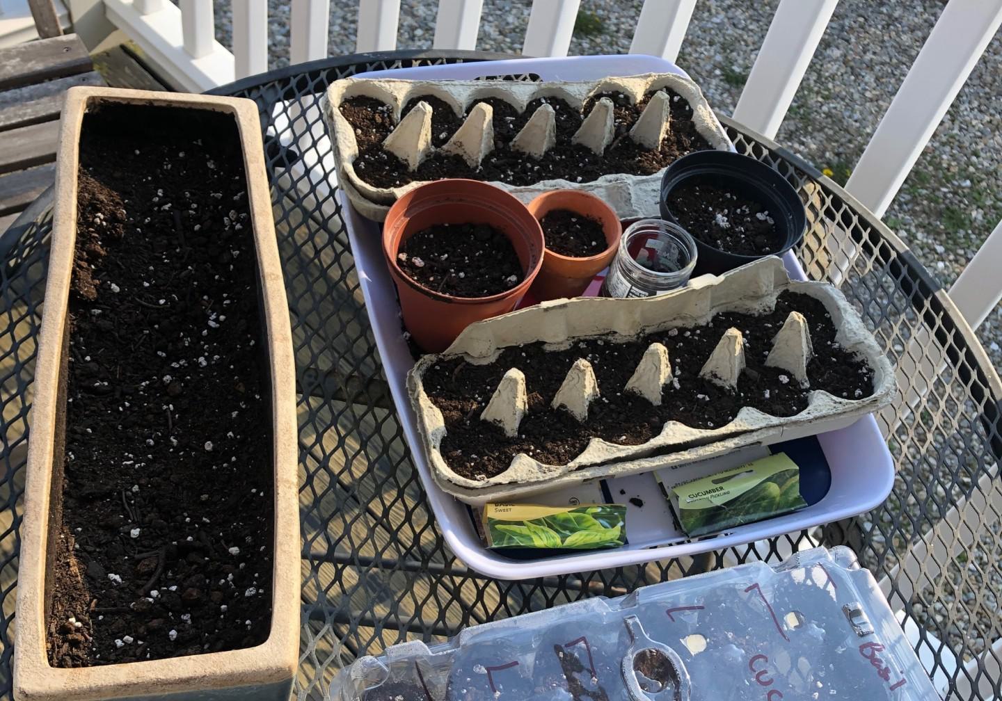 Home-garden